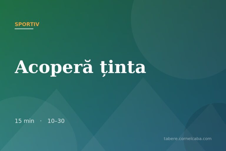 Ilustrație pentru jocul Acoperă ținta