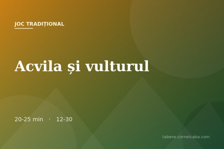Ilustrație pentru jocul Acvila și vulturul