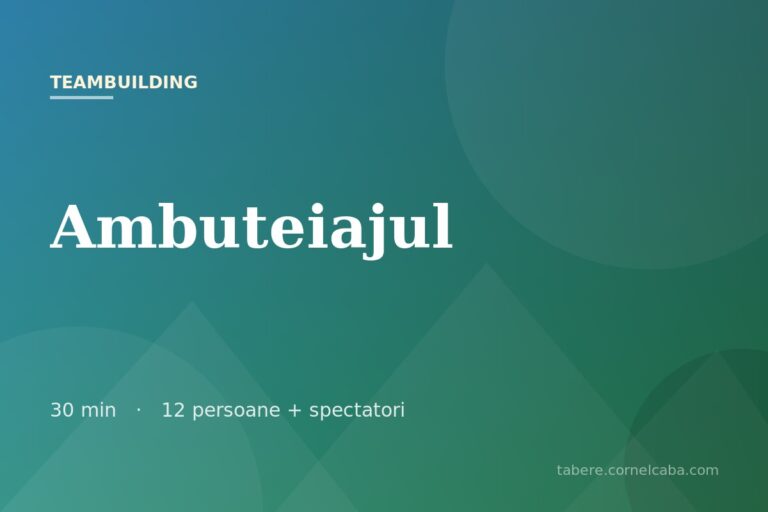 Ilustrație pentru jocul Ambuteiajul