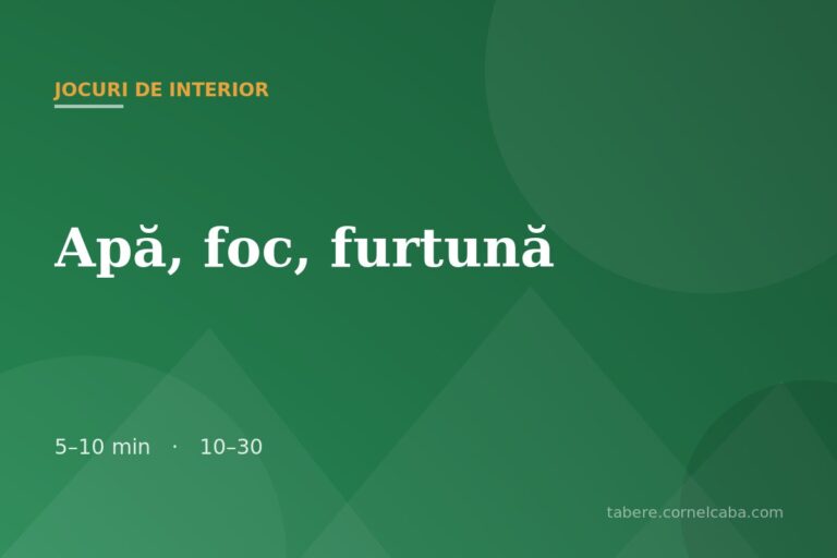 Ilustrație pentru jocul Apă, foc, furtună