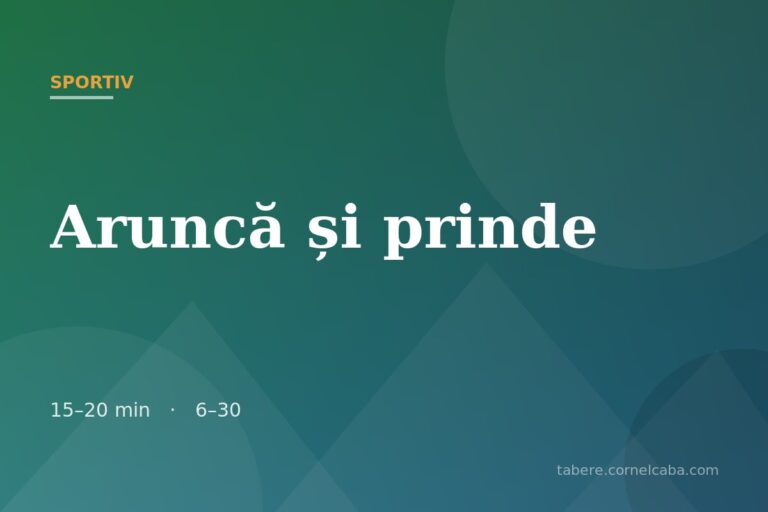 Ilustrație pentru jocul Aruncă și prinde
