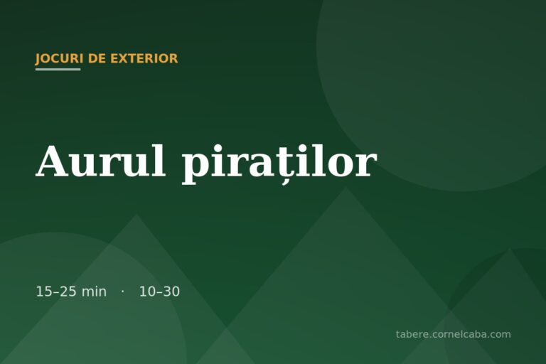 Ilustrație pentru jocul Aurul piraților