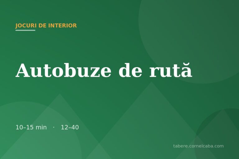 Ilustrație pentru jocul Autobuze de rută