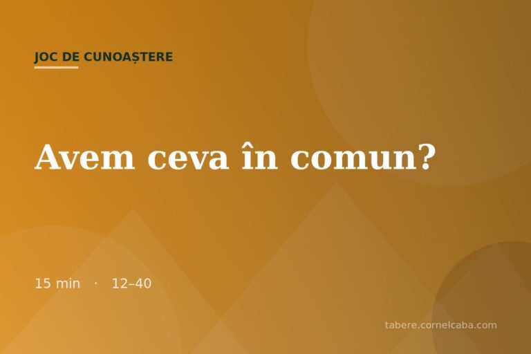 Ilustrație pentru jocul Avem ceva în comun?