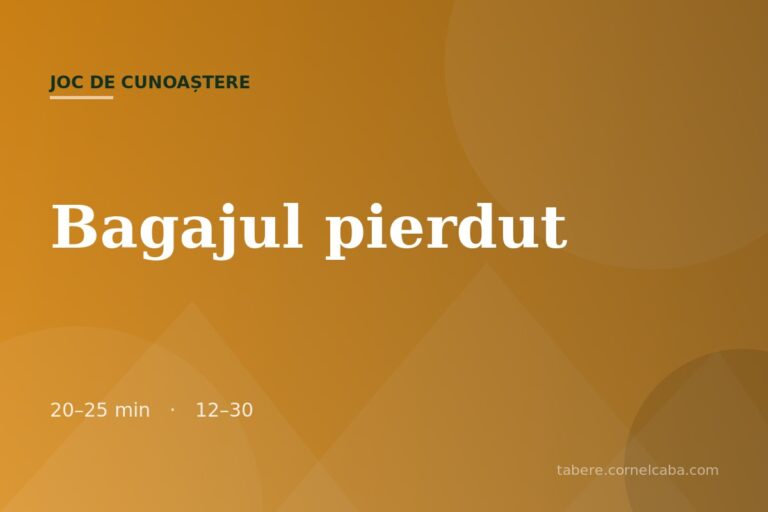 Ilustrație pentru jocul Bagajul pierdut