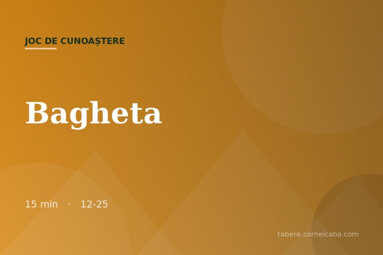 Ilustrație pentru jocul Bagheta