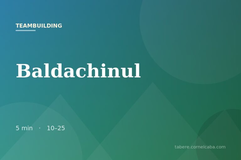 Ilustrație pentru jocul Baldachinul