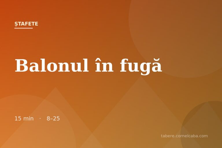 Ilustrație pentru jocul Balonul în fugă