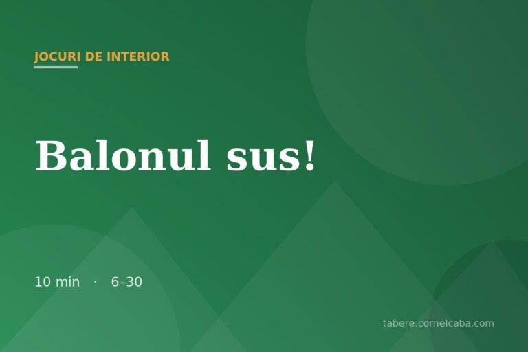 Ilustrație pentru jocul Balonul sus!