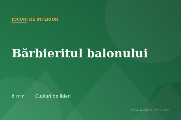 Ilustrație pentru jocul Bărbieritul balonului