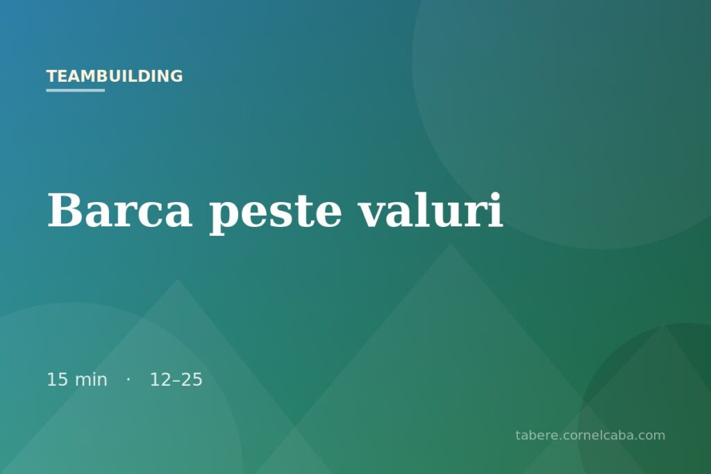 Ilustrație pentru jocul Barca peste valuri