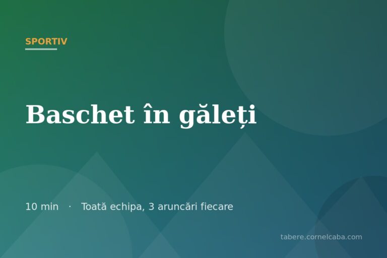 Ilustrație pentru jocul Baschet în găleți