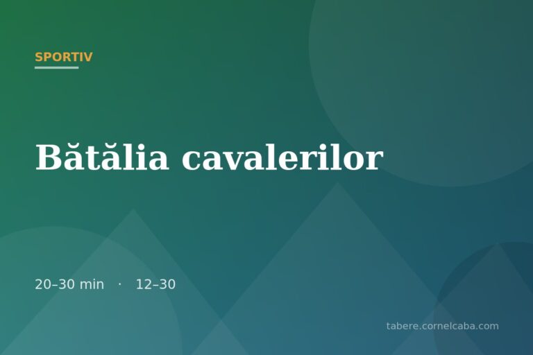 Ilustrație pentru jocul Bătălia cavalerilor