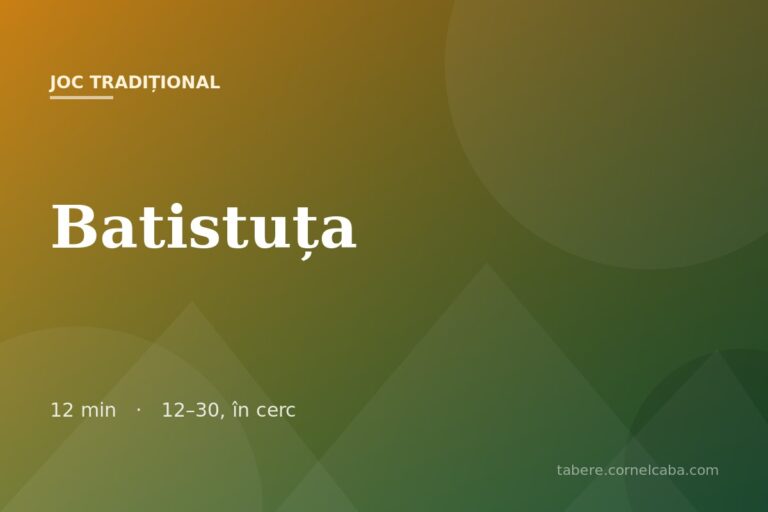 Ilustrație pentru jocul Batistuța