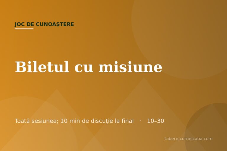 Ilustrație pentru jocul Biletul cu misiune