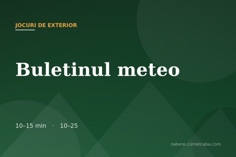 Ilustrație pentru jocul Buletinul meteo