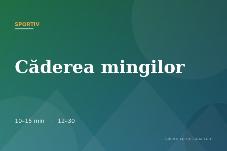 Ilustrație pentru jocul Căderea mingilor