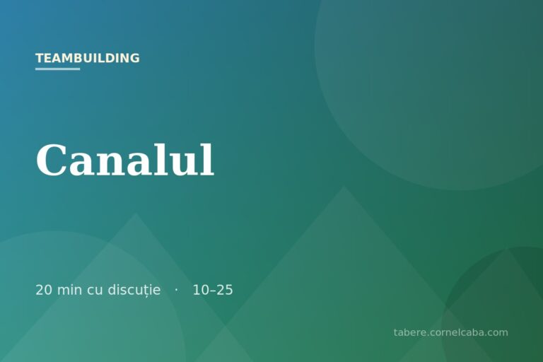 Ilustrație pentru jocul Canalul