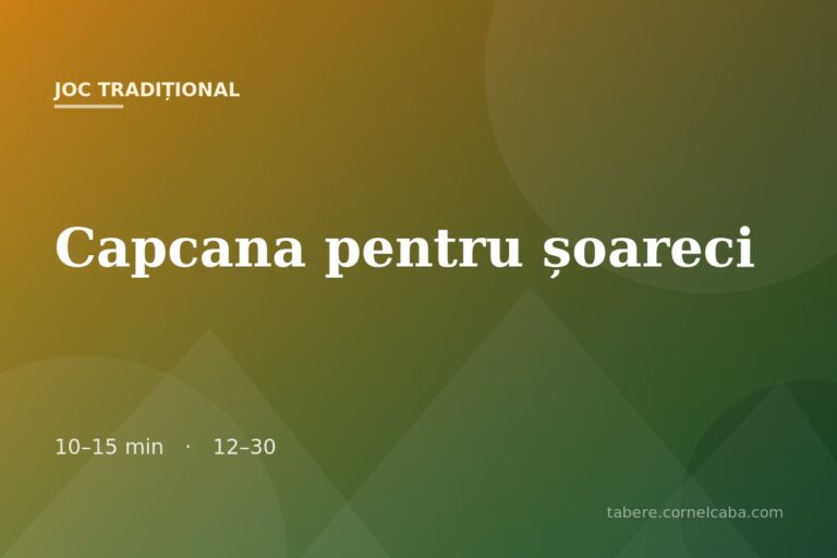 Ilustrație pentru jocul Capcana pentru șoareci