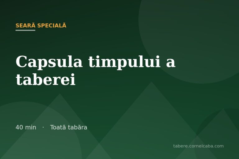 Ilustrație pentru jocul Capsula timpului a taberei