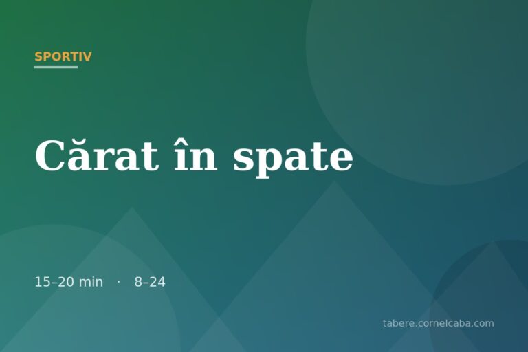 Ilustrație pentru jocul Cărat în spate