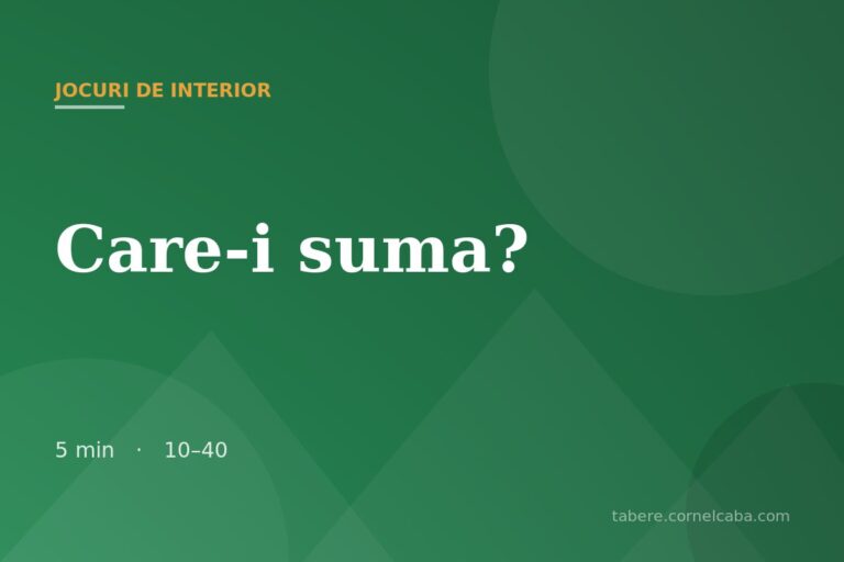 Ilustrație pentru jocul Care-i suma?