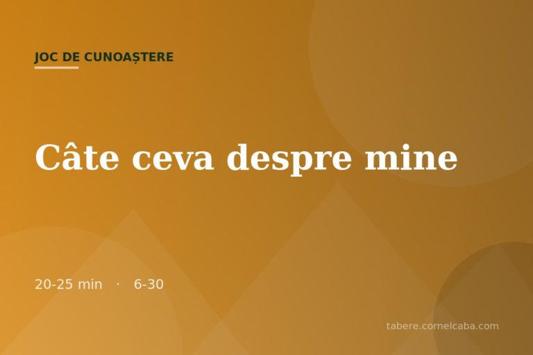 Ilustrație pentru jocul Câte ceva despre mine