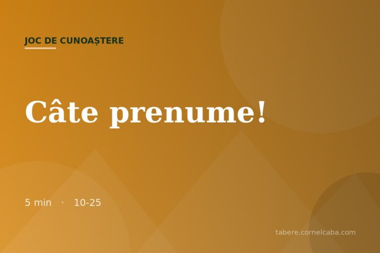 Ilustrație pentru jocul Câte prenume!
