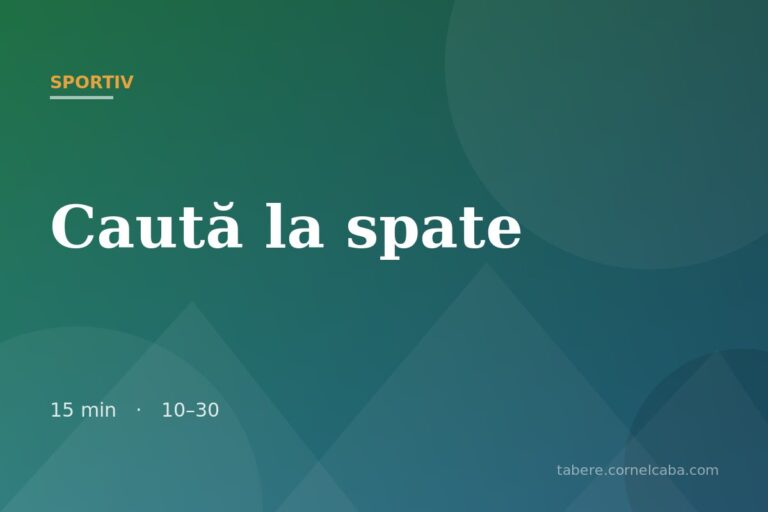 Ilustrație pentru jocul Caută la spate