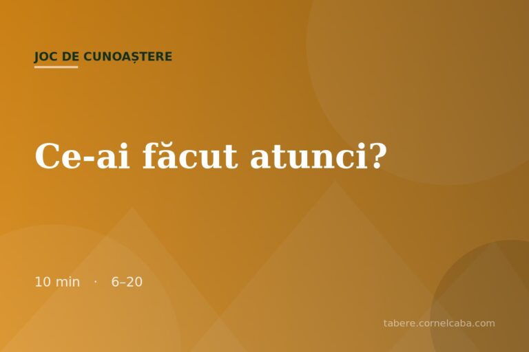 Ilustrație pentru jocul Ce-ai făcut atunci?