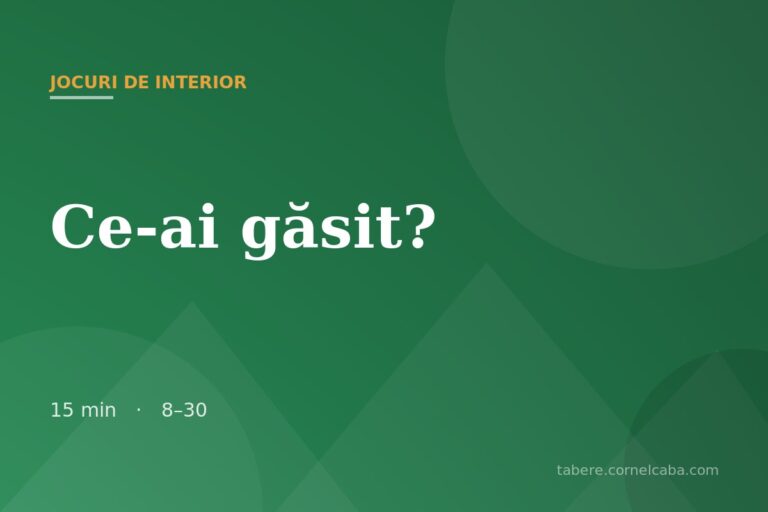 Ilustrație pentru jocul Ce-ai găsit?