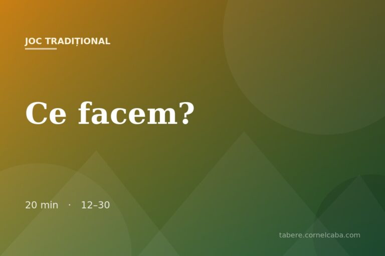 Ilustrație pentru jocul Ce facem?