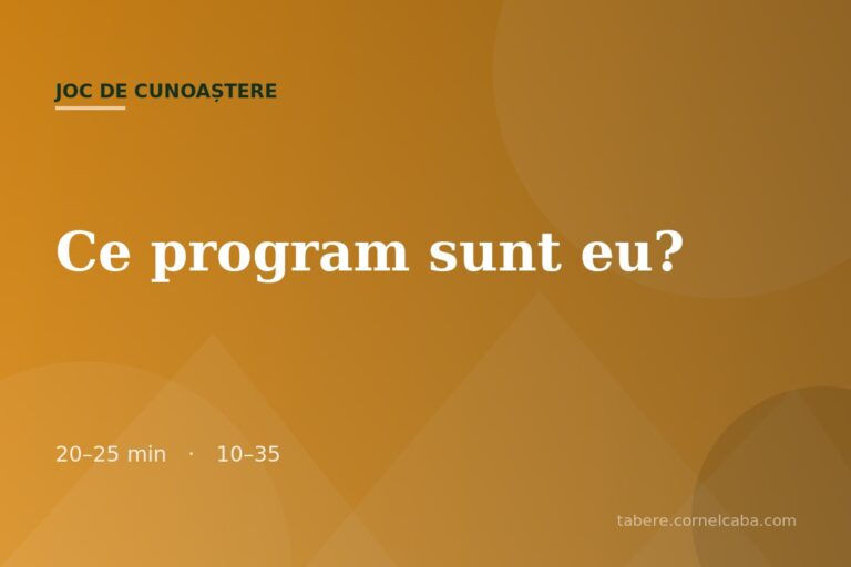 Ilustrație pentru jocul Ce program sunt eu?