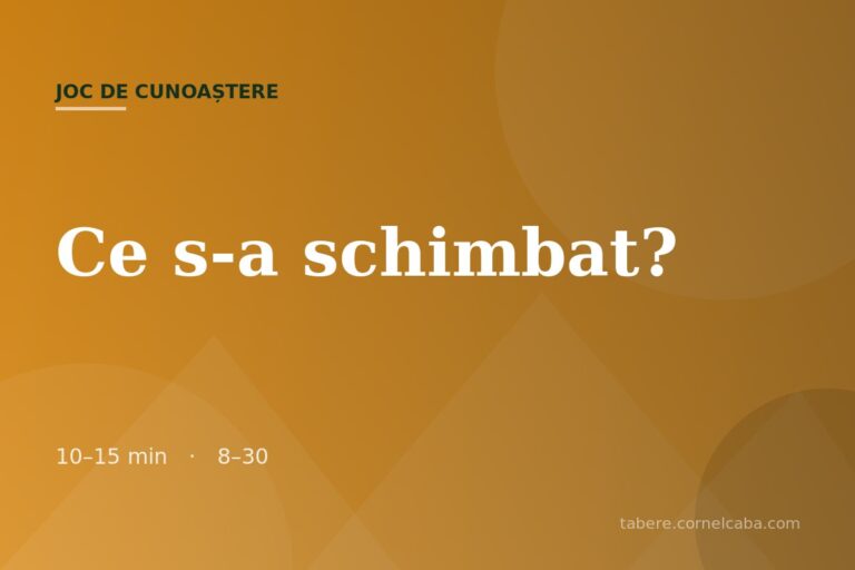 Ilustrație pentru jocul Ce s-a schimbat?