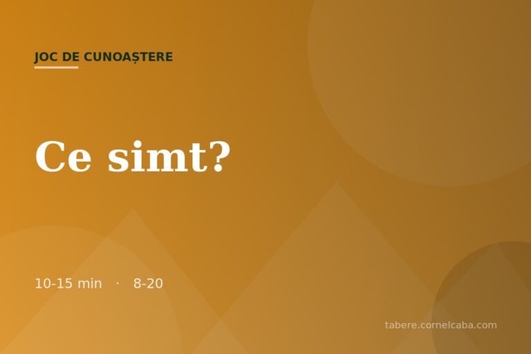 Ilustrație pentru jocul Ce simt?