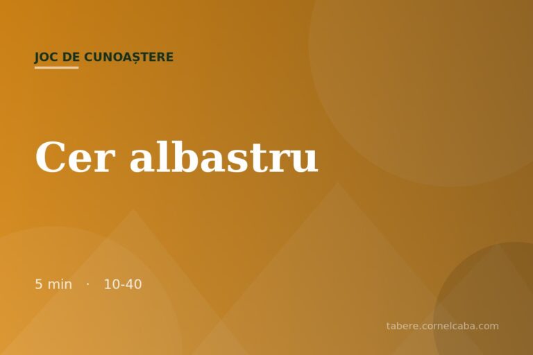 Ilustrație pentru jocul Cer albastru