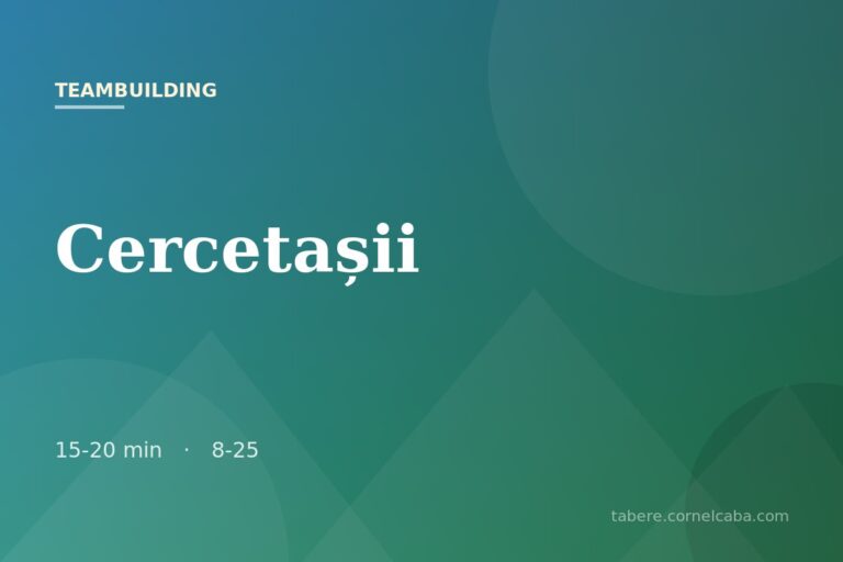 Ilustrație pentru jocul Cercetașii
