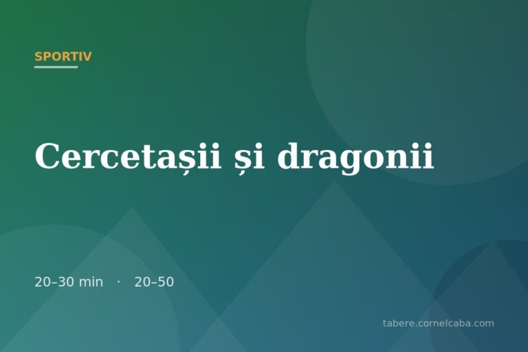 Ilustrație pentru jocul Cercetașii și dragonii
