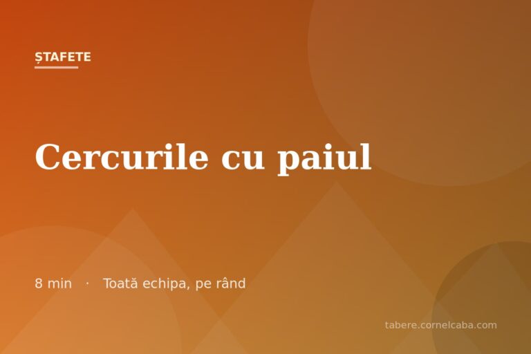 Ilustrație pentru jocul Cercurile cu paiul