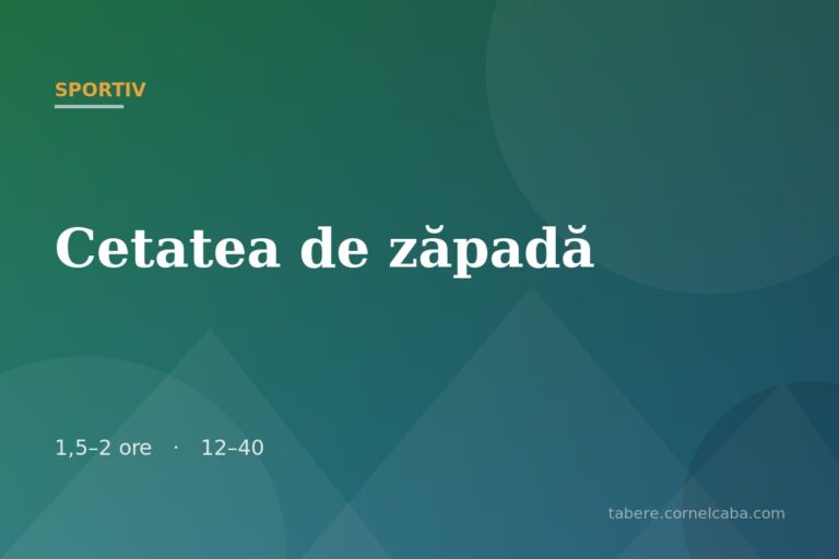 Ilustrație pentru jocul Cetatea de zăpadă