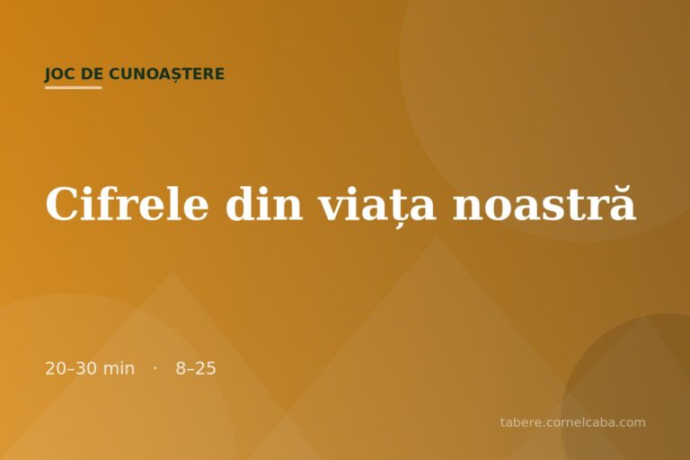 Ilustrație pentru jocul Cifrele din viața noastră