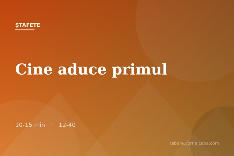 Ilustrație pentru jocul Cine aduce primul
