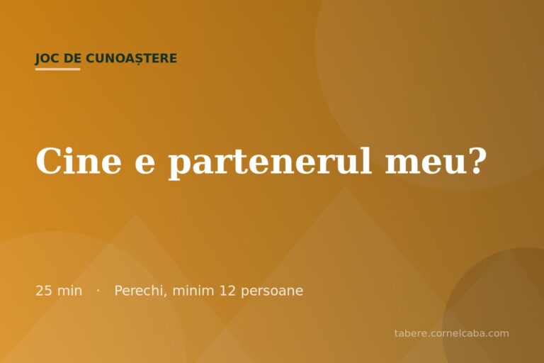 Ilustrație pentru jocul Cine e partenerul meu?
