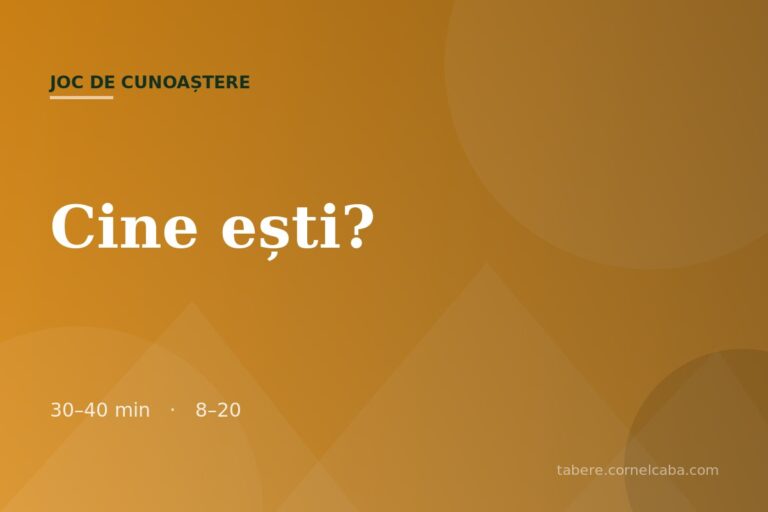 Ilustrație pentru jocul Cine ești?