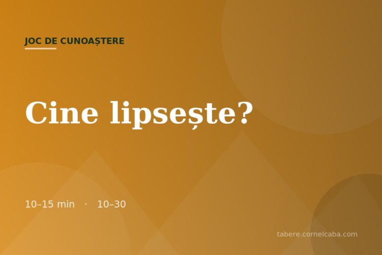 Ilustrație pentru jocul Cine lipsește?