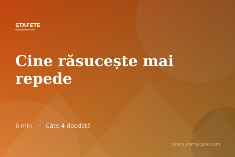 Ilustrație pentru jocul Cine răsucește mai repede