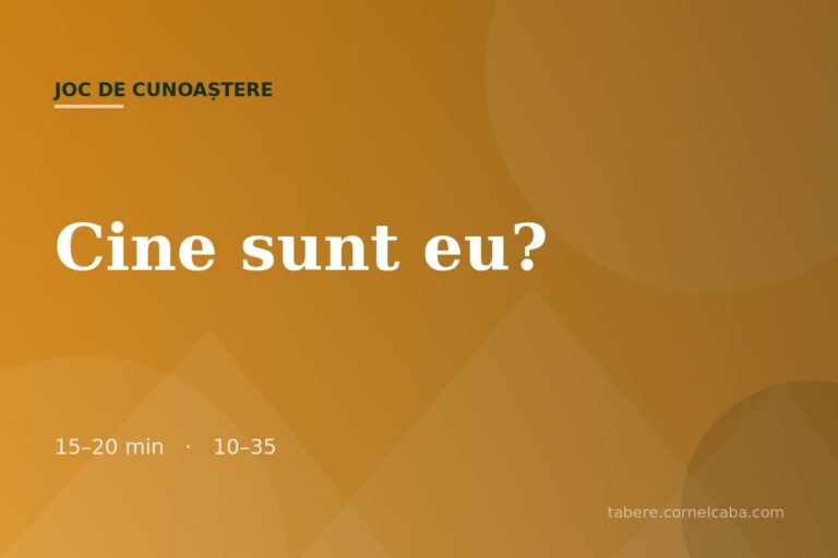 Ilustrație pentru jocul Cine sunt eu?