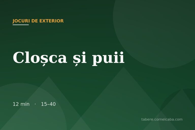 Ilustrație pentru jocul Cloșca și puii