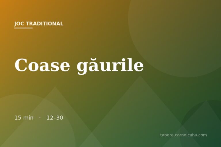 Ilustrație pentru jocul Coase găurile