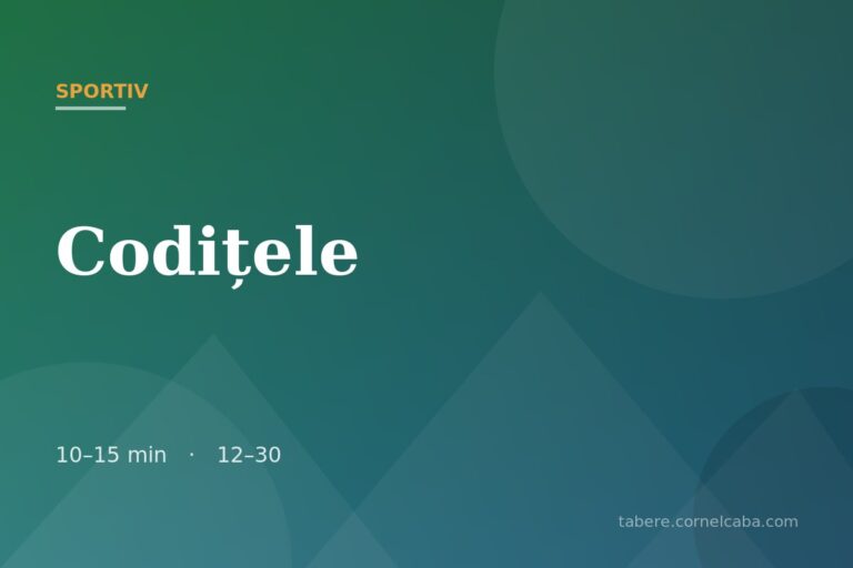 Ilustrație pentru jocul Codițele
